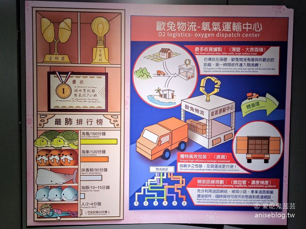 澎湖景點推薦 | 澎湖水族館，親子、雨天備案、避暑好去處，最推薦大洋池餵食秀！