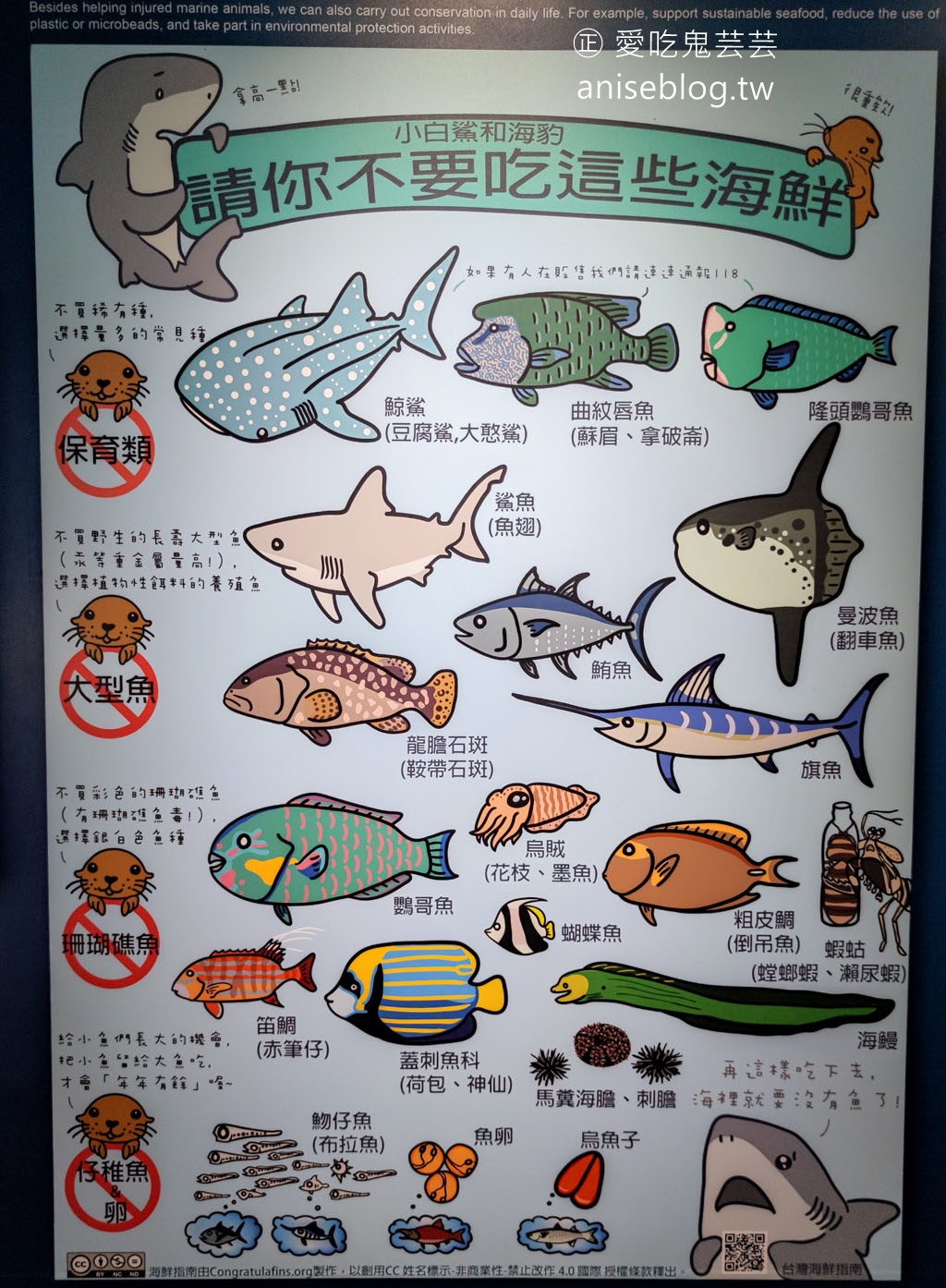 澎湖景點推薦 | 澎湖水族館，親子、雨天備案、避暑好去處，最推薦大洋池餵食秀！