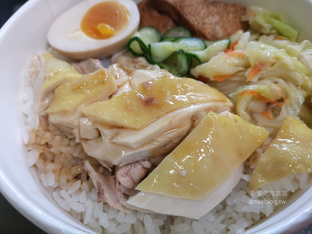 何方海南雞肉飯，中和四號公園永安市場站外帶外送美食(姊姊食記)