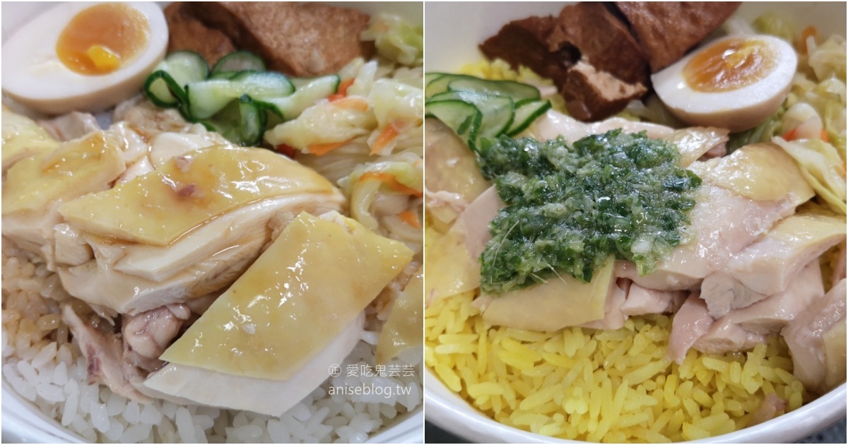 何方海南雞肉飯，中和四號公園永安市場站外帶外送美食(姊姊食記) @愛吃鬼芸芸