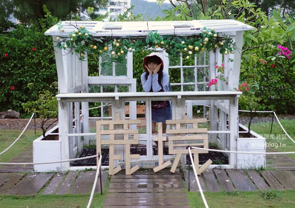 不用到奈良！鹿境梅花鹿生態園區，和梅花鹿親密互動，豪可愛🦌