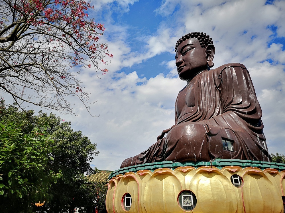 彰化小旅行，八卦山大佛、天空步道、扇形車庫(姊姊遊記)