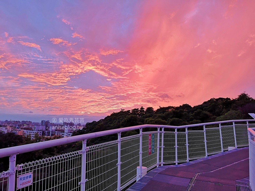 彰化小旅行，八卦山大佛、天空步道、扇形車庫(姊姊遊記)