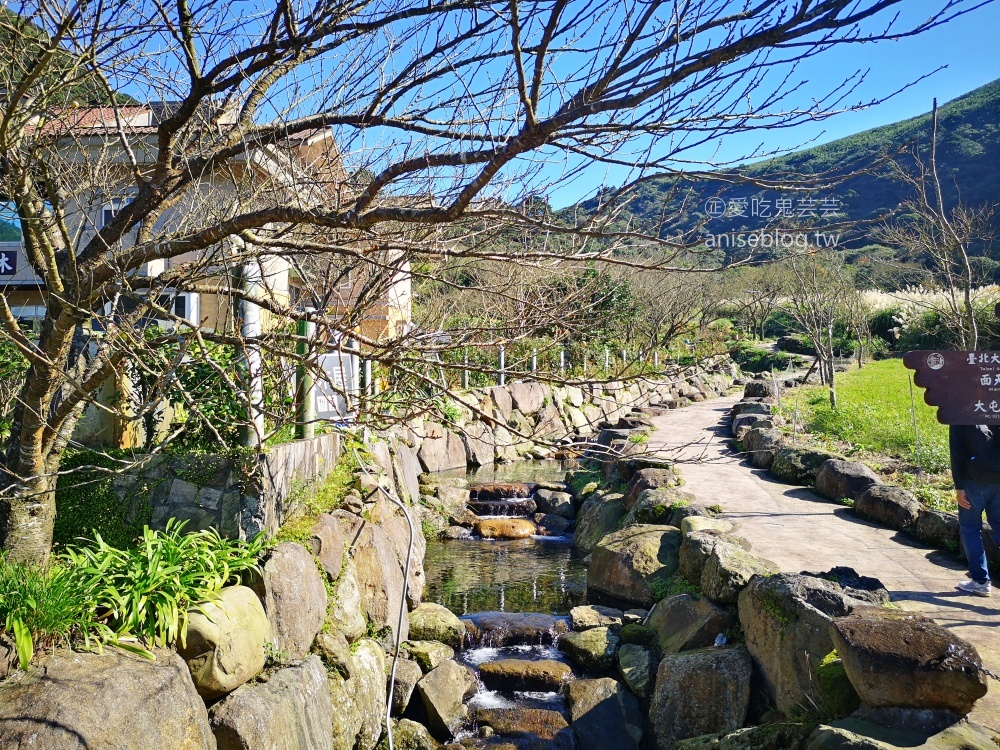 竹子湖黑木屋吃土雞，頂湖環狀步道賞海芋(姊姊食記)