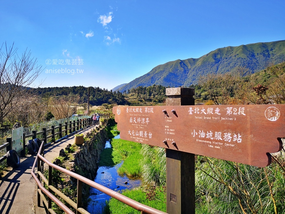 竹子湖黑木屋吃土雞，頂湖環狀步道賞海芋(姊姊食記)