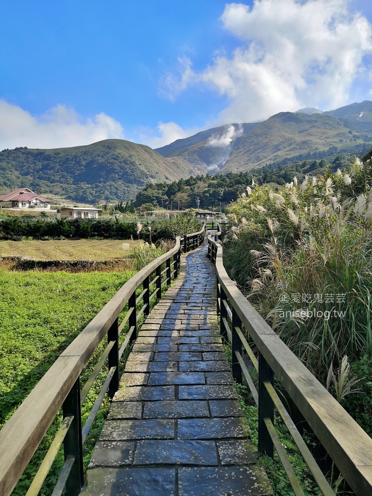 竹子湖黑木屋吃土雞，頂湖環狀步道賞海芋(姊姊食記)