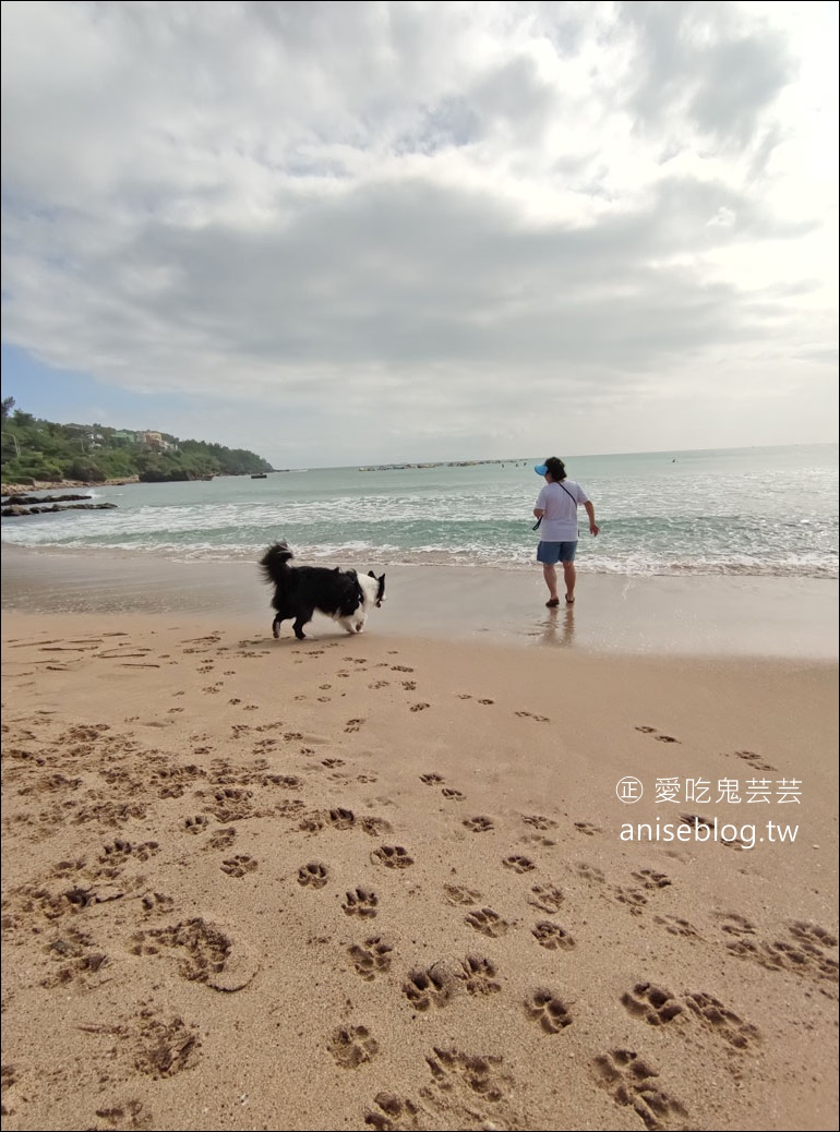 迷路小章魚，墾丁頗具水準餐酒館 (文末菜單)