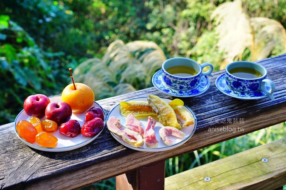 順進蜜餞行，宜蘭冬山伴手禮，帶著蜜餞去爬山吧(姊姊食記)