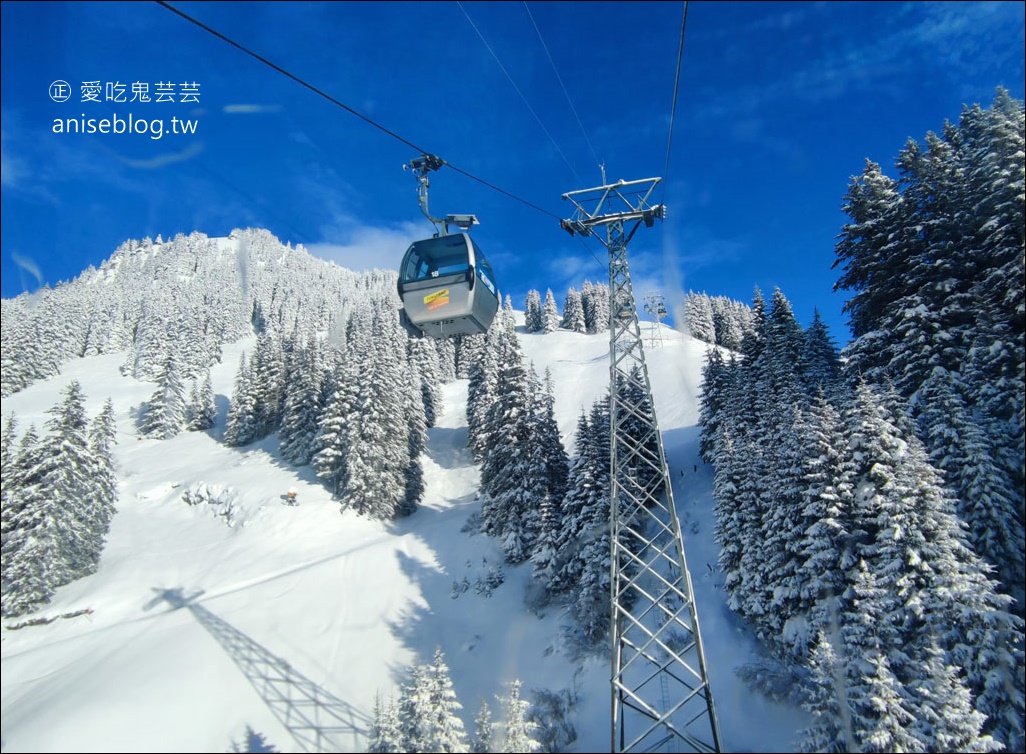 瑞士少女峰區 | 費爾斯特 First 登山纜車 (懸崖步道、神鷹飛索)，微刺激戶外活動