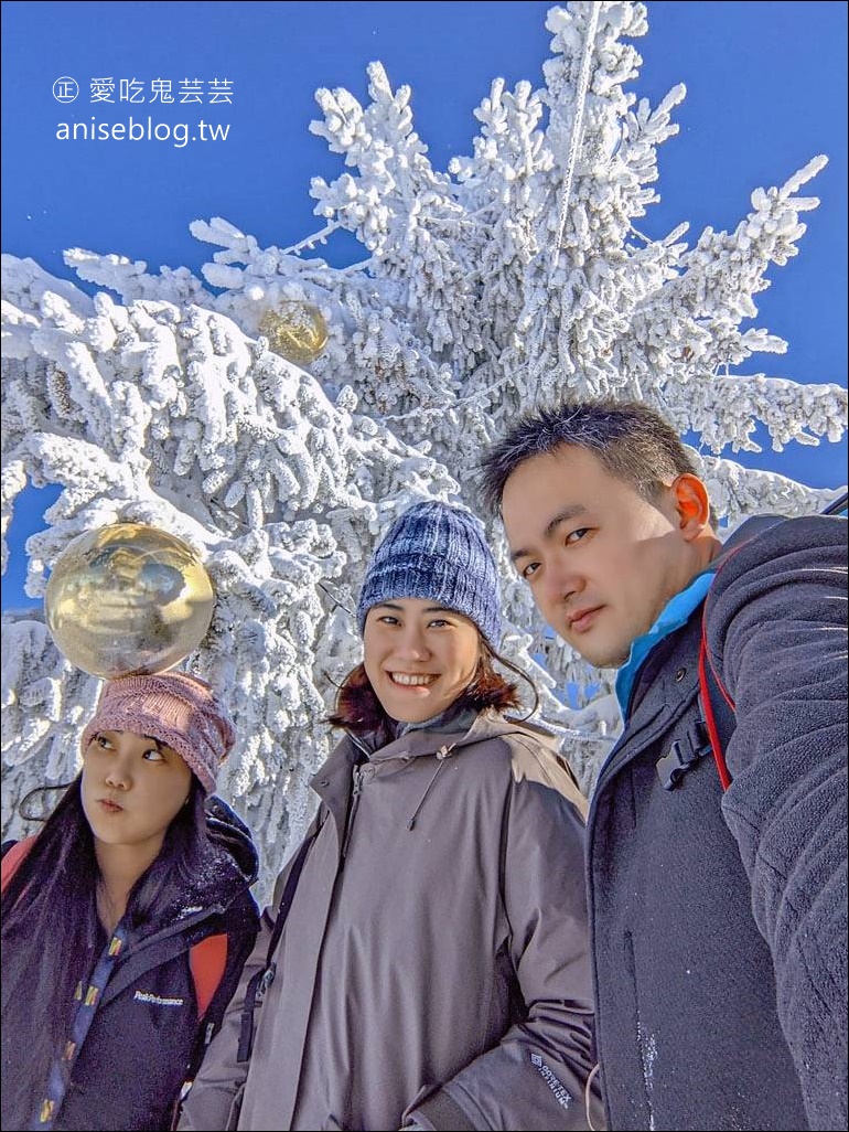 少女峰四日遊(下)-費爾斯特刺激之旅、哈德昆景觀臺、賣店血拚、大晴天再衝少女峰！