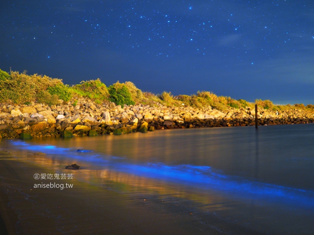 馬祖藍眼淚，值得一追再追的夢幻美景(姊姊遊記)