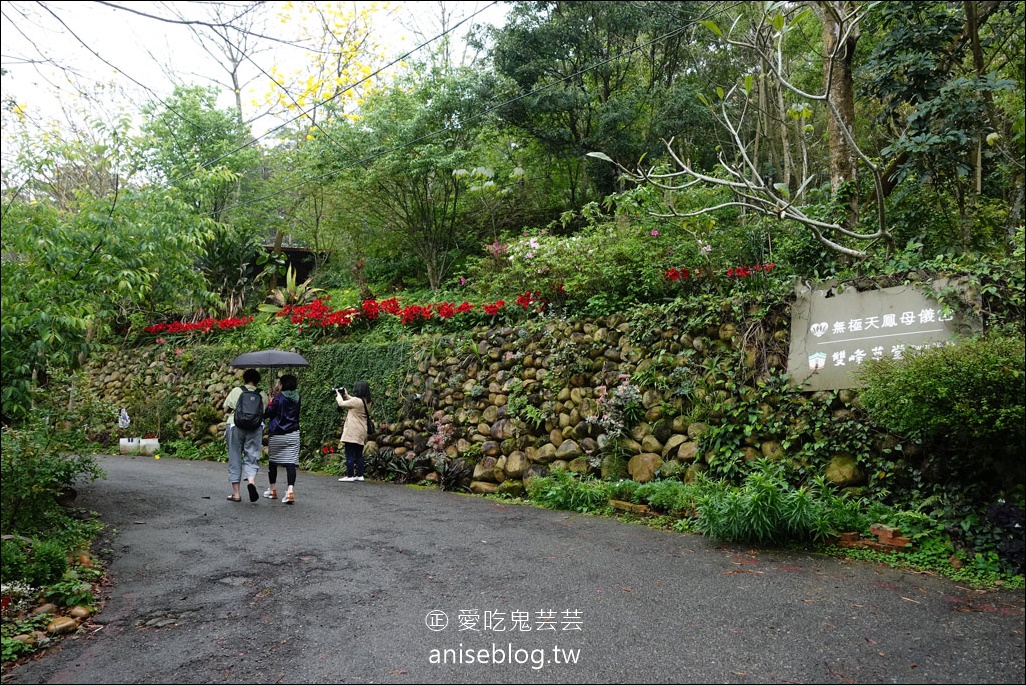 雙峰草堂銅鑼燒，苗栗銅鑼森林系下午茶，季節限定草莓口味！(含菜單)