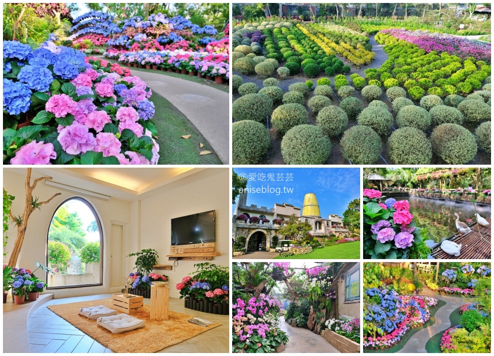 花露休閒農場，住宿在浪漫繡球花房型，享受包場賞花的優閒時光(姊姊遊記)