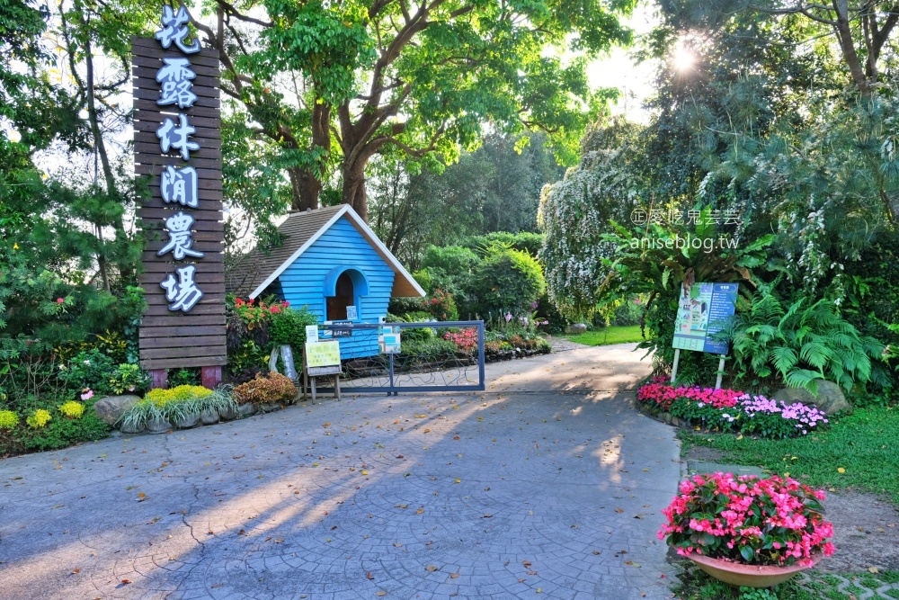 花露休閒農場，住宿在浪漫繡球花房型，享受包場賞花的優閒時光(姊姊遊記)