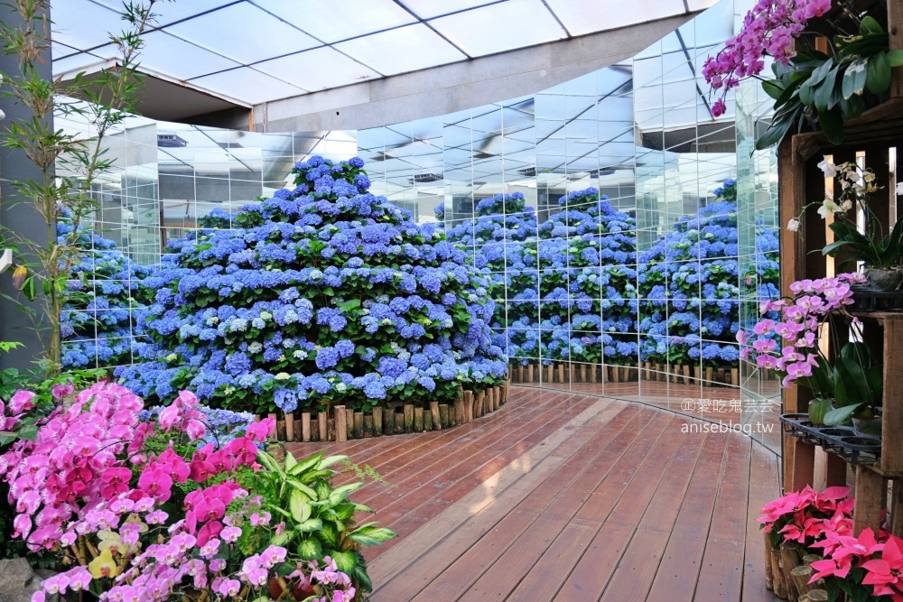 花露休閒農場，住宿在浪漫繡球花房型，享受包場賞花的優閒時光(姊姊遊記)