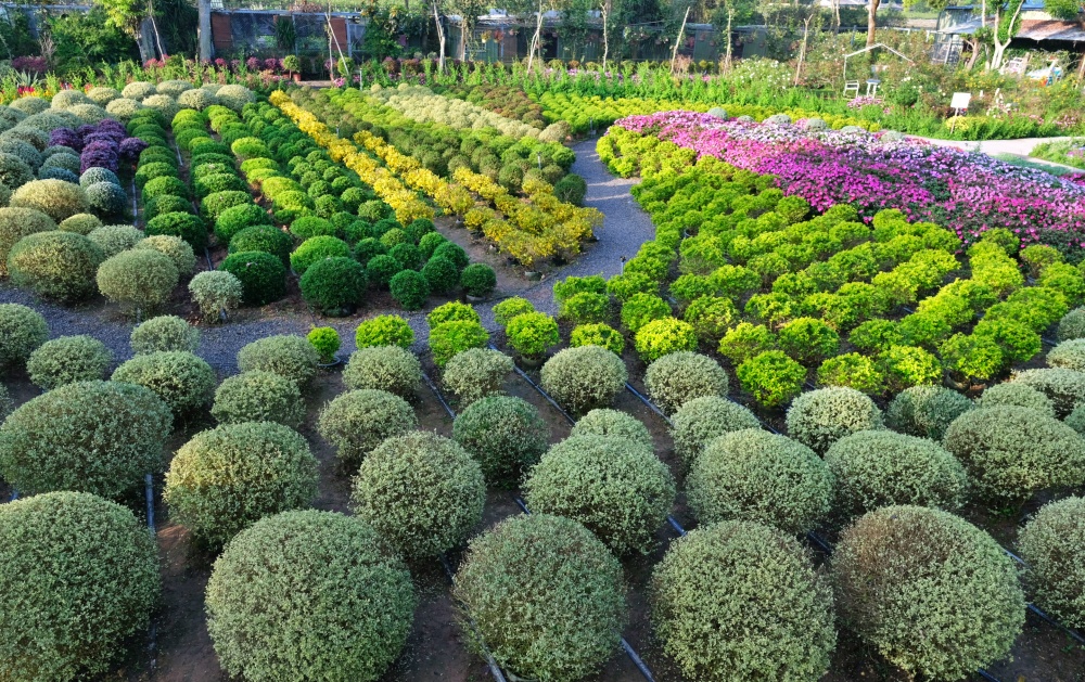 花露休閒農場，住宿在浪漫繡球花房型，享受包場賞花的優閒時光(姊姊遊記)