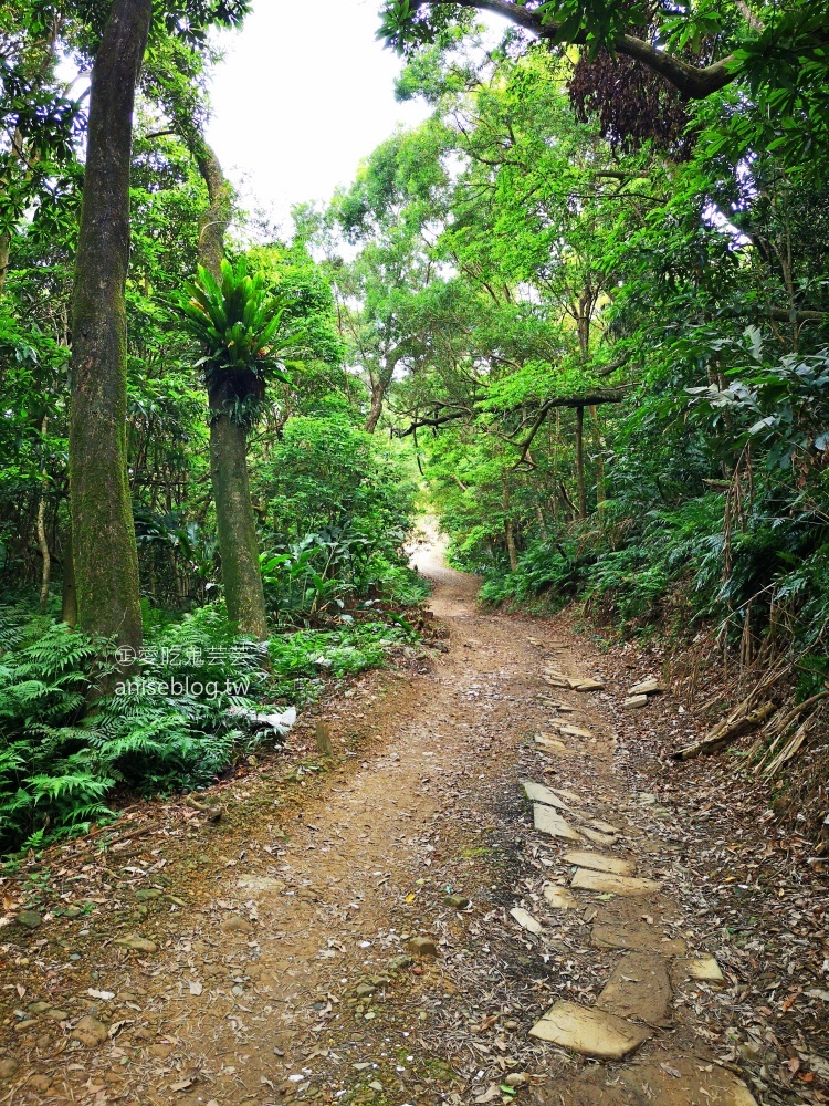 頭城蟾蜍山，俯瞰烏石港無敵海景，遠眺蘭陽平原絕佳視野的宜蘭秘境景點(姊姊遊記)