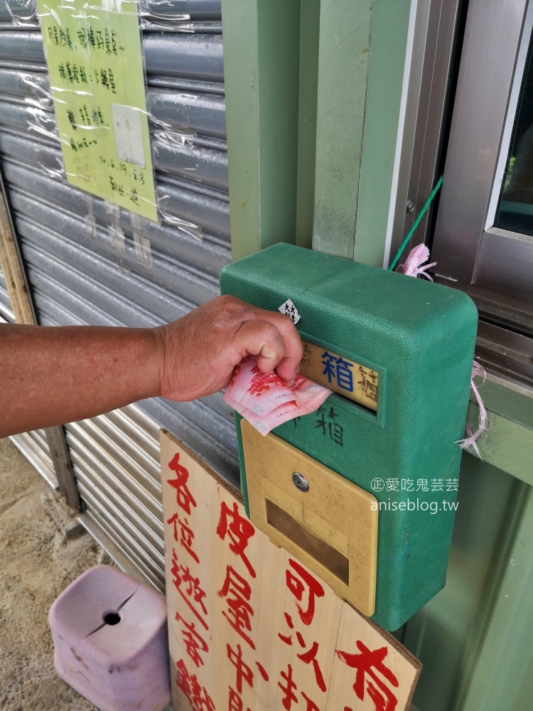 頭城蟾蜍山，俯瞰烏石港無敵海景，遠眺蘭陽平原絕佳視野的宜蘭秘境景點(姊姊遊記)