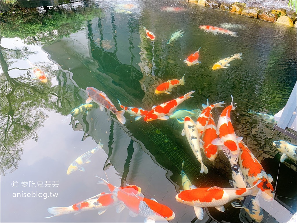 八斗子海鮮餐廳，雲林古坑版 X-Park，水族館裡吃活海鮮熱炒😍