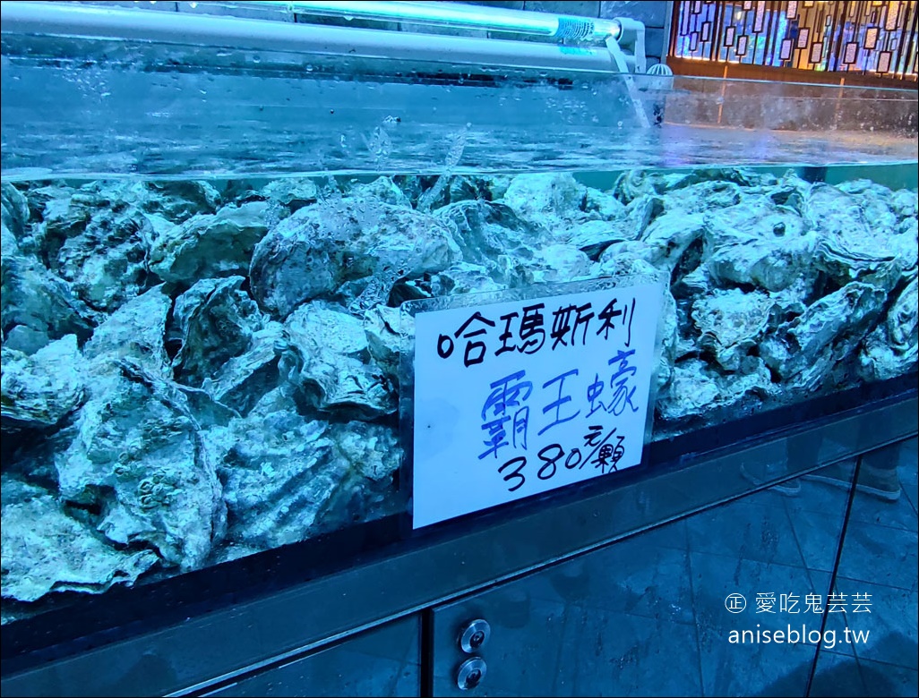 八斗子海鮮餐廳，雲林古坑版 X-Park，水族館裡吃活海鮮熱炒😍