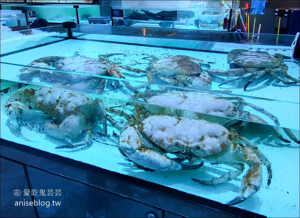 八斗子海鮮餐廳，雲林古坑版 X-Park，水族館裡吃活海鮮熱炒😍