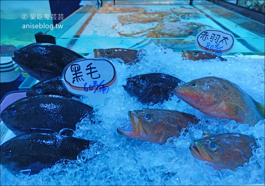 八斗子海鮮餐廳，雲林古坑版 X-Park，水族館裡吃活海鮮熱炒😍