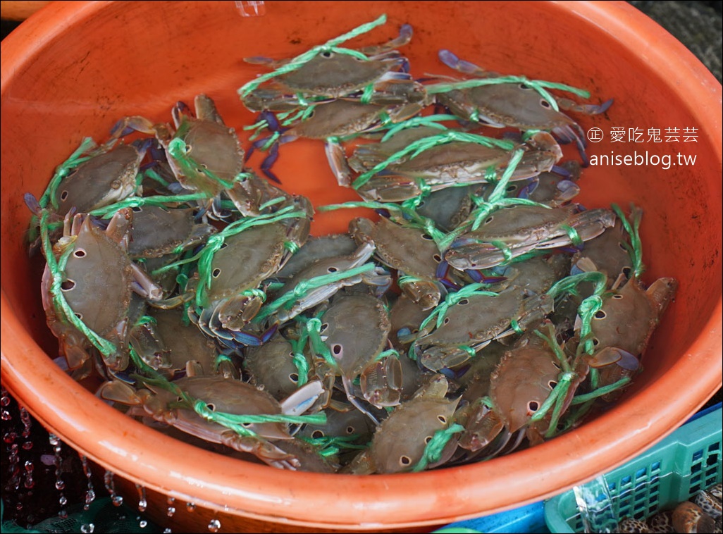 春金活海產，北海岸平價美味海產店，順遊芝蘭公園海上平台、採買廣泰香波羅麵包伴手禮