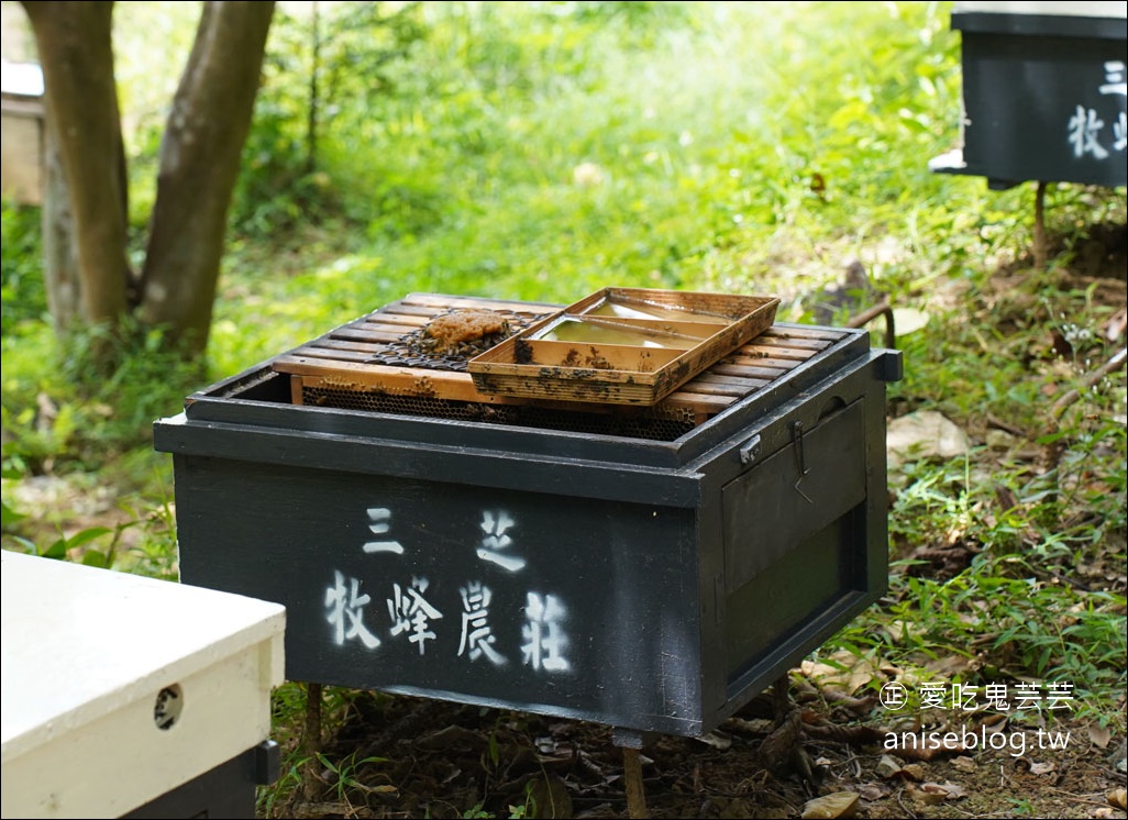 牧蜂農莊，養蜂達人教您辨別真假蜜，免費參觀、還有蜂蜜烤雞！