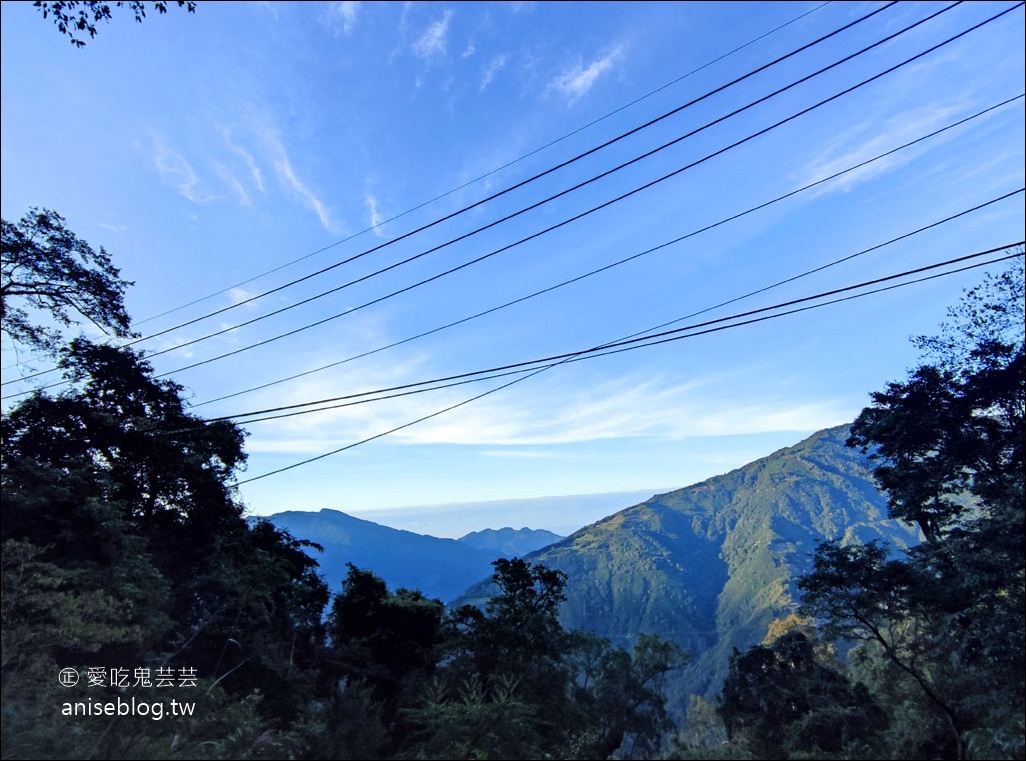 台灣好行觀霧線，暢遊雪霸農場、清泉五峰，絕美風景此生必來！(圖多)