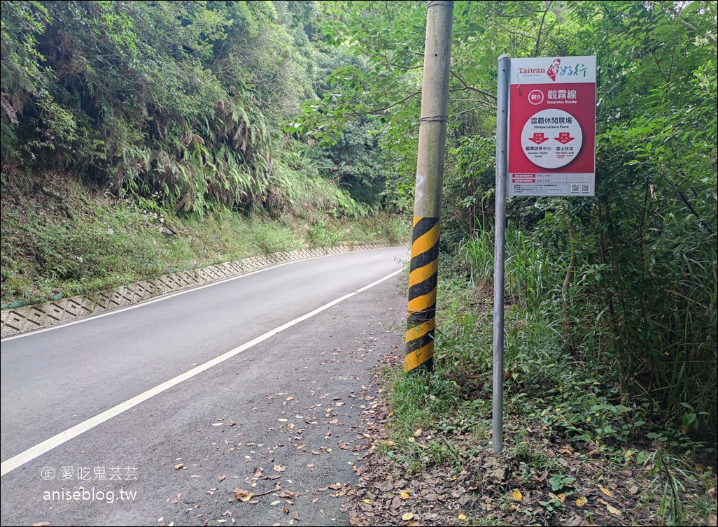 台灣好行觀霧線，暢遊雪霸農場、清泉五峰，絕美風景此生必來！(圖多)