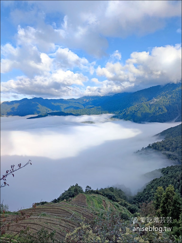 台灣好行觀霧線，暢遊雪霸農場、清泉五峰，絕美風景此生必來！(圖多)