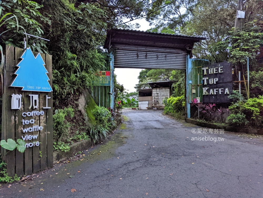 樹頂上TREE TOP KAFFA，大棟山上的景觀咖啡店(姊姊食記)