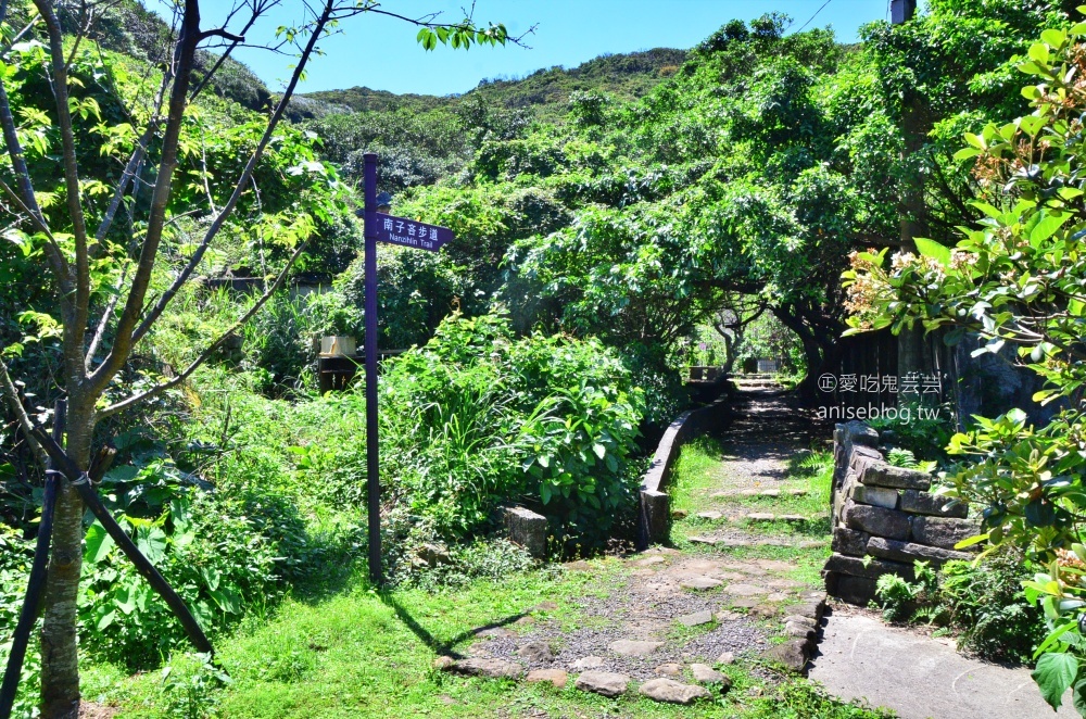 南子吝步道，360度絕美視野山海景色一次擁有，東北角景點(姊姊遊記)