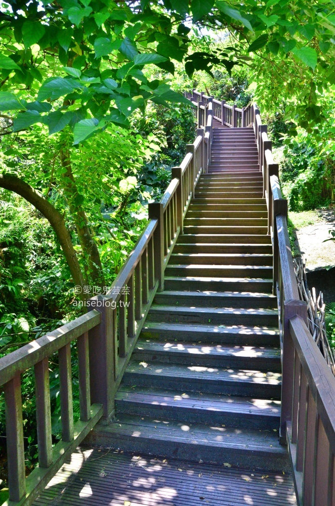 南子吝步道，360度絕美視野山海景色一次擁有，東北角景點(姊姊遊記)