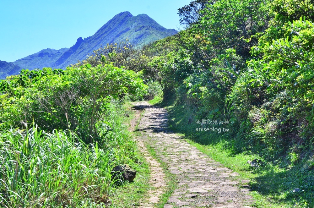 南子吝步道，360度絕美視野山海景色一次擁有，東北角景點(姊姊遊記)