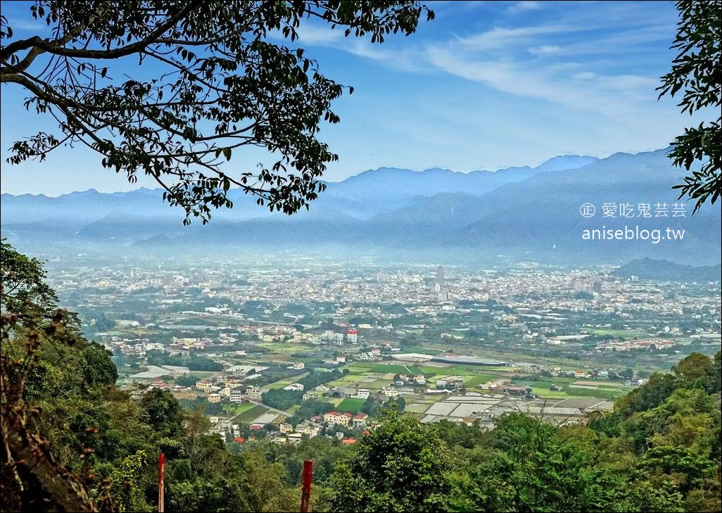 鹿篙(ㄍㄠ)咖啡莊園，茶園環繞的美麗咖啡廳 (含菜單)