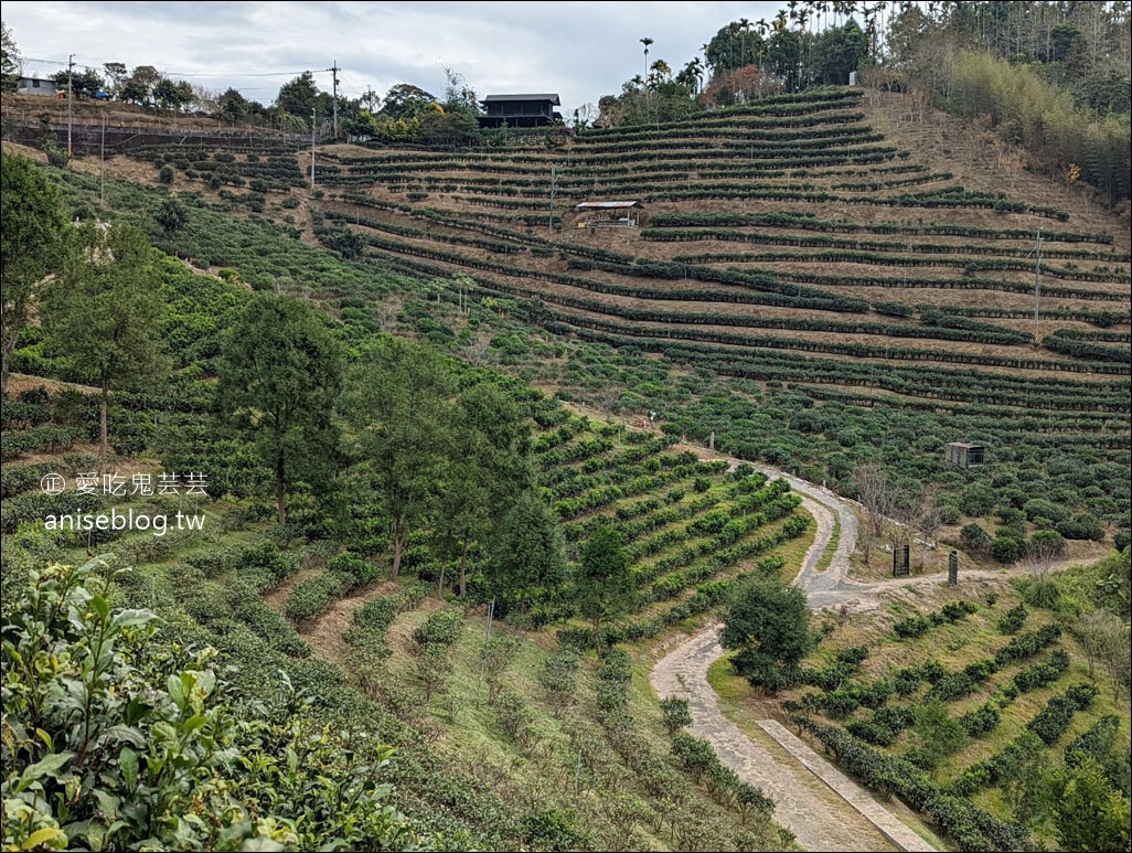 鹿篙(ㄍㄠ)咖啡莊園，茶園環繞的美麗咖啡廳 (含菜單)