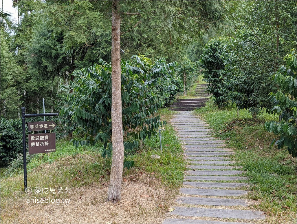 鹿篙(ㄍㄠ)咖啡莊園，茶園環繞的美麗咖啡廳 (含菜單)