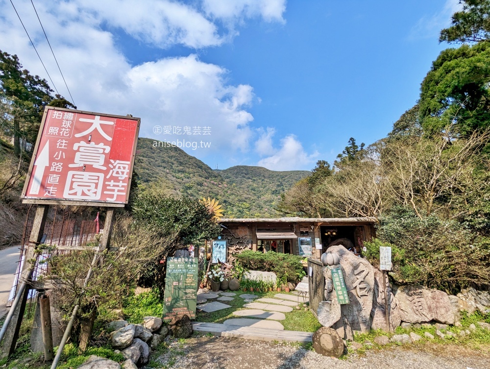 竹子湖海芋季，夢幻場景拍美照，名陽匍休閒農莊(姊姊遊記)