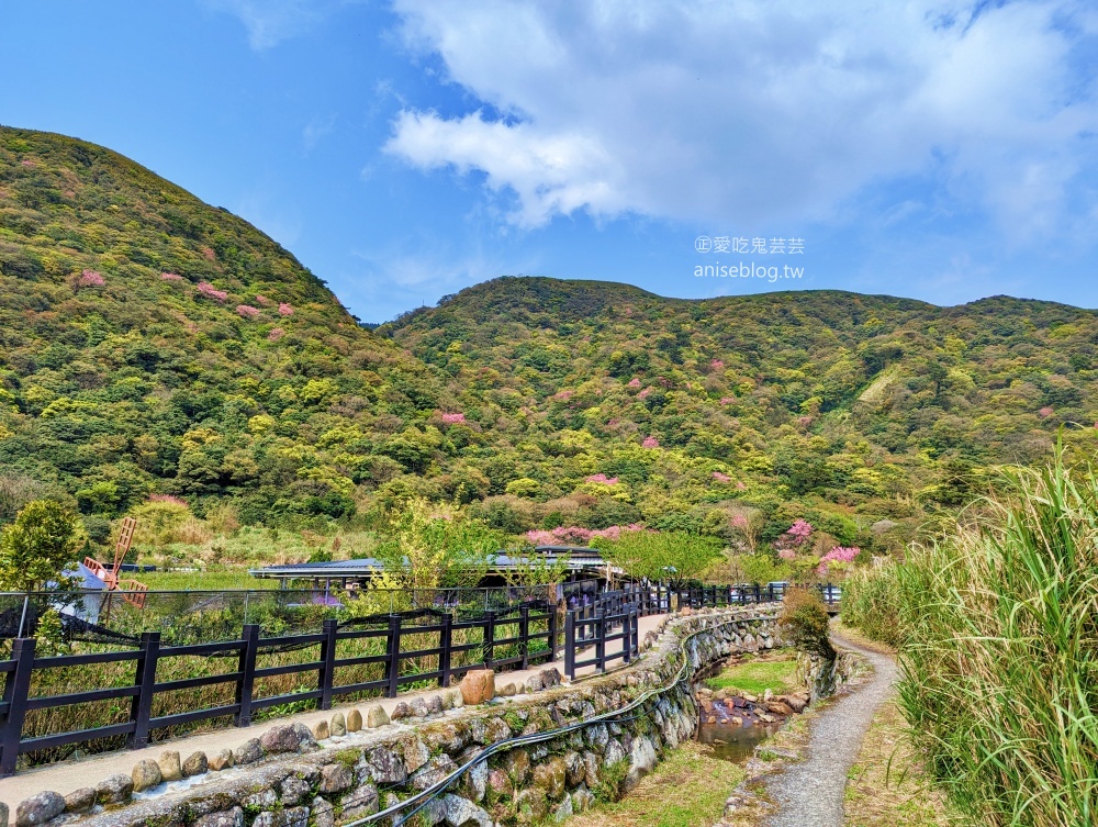 竹子湖海芋季，夢幻場景拍美照，名陽匍休閒農莊(姊姊遊記)