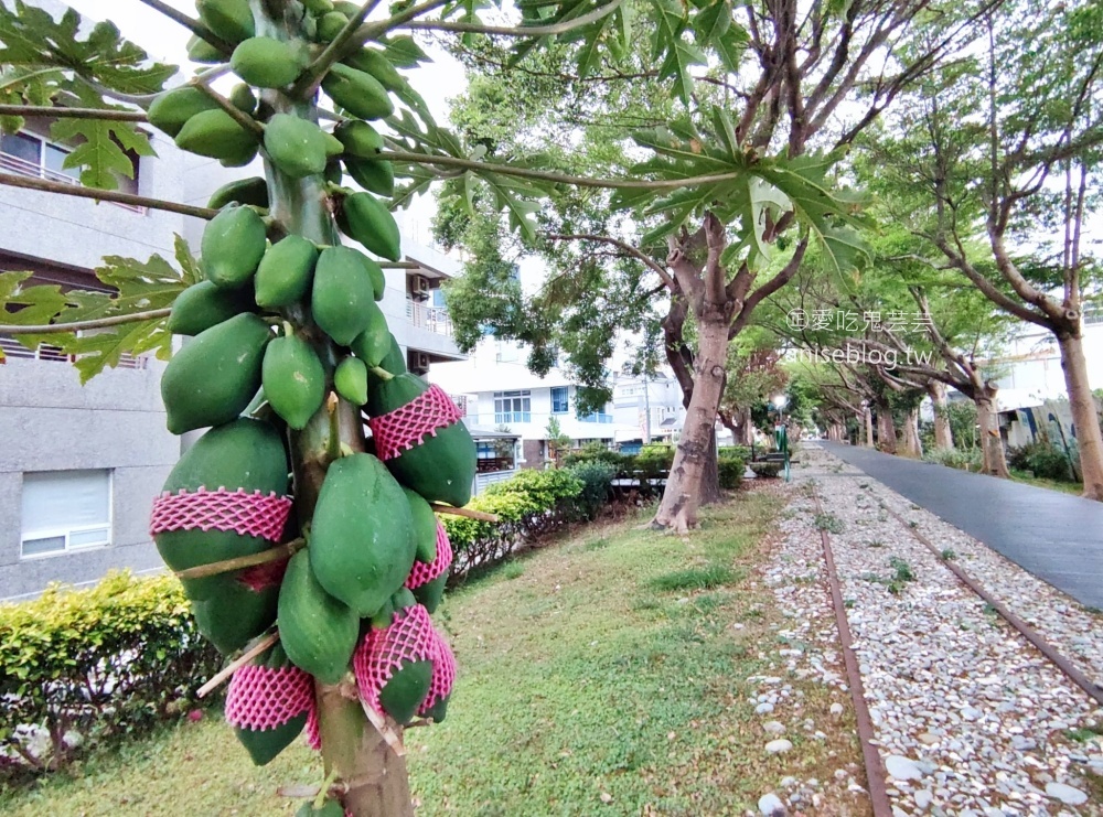 鐵道旅驛，台東市親子平價住宿好選擇(姊姊遊記)