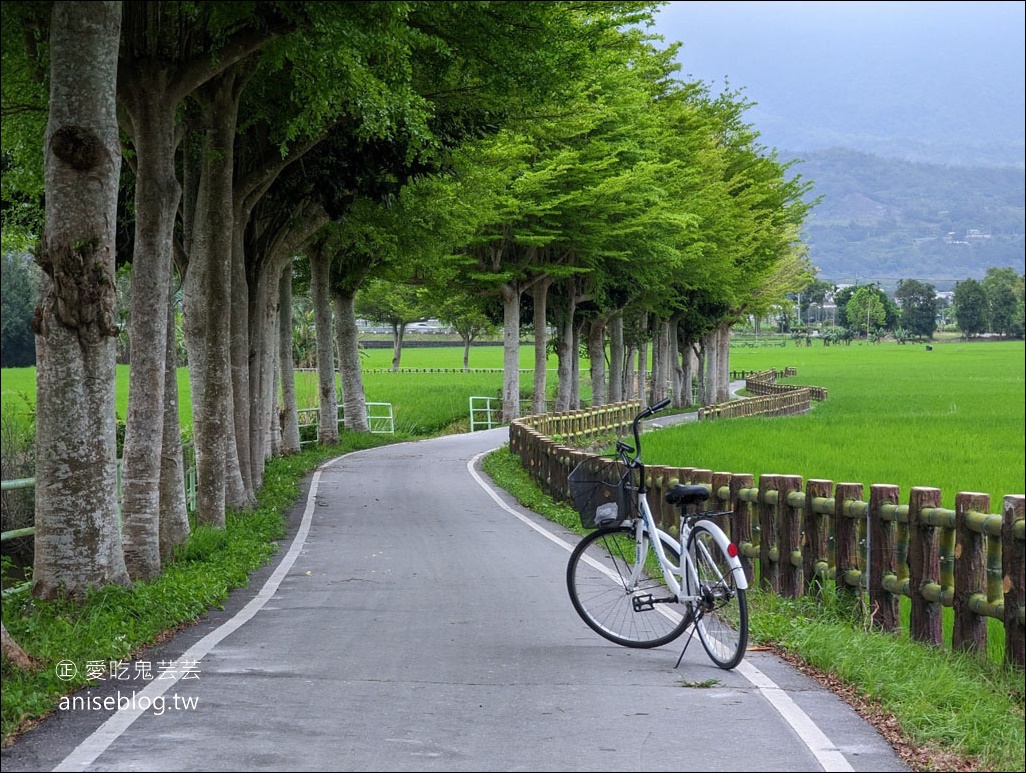 茶田關舍貳館，極致浮誇早餐、台東關山親子民宿(姊姊遊記)