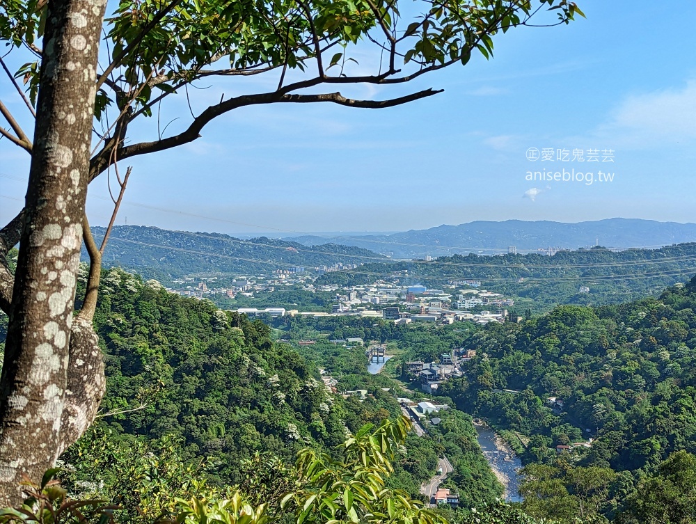 五寮尖登山步道，要手腳並用的拉繩攀岩路線，新北三峽景點(姊姊遊記)