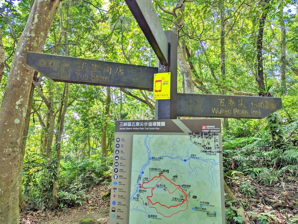 五寮尖登山步道，要手腳並用的拉繩攀岩路線，新北三峽景點(姊姊遊記)