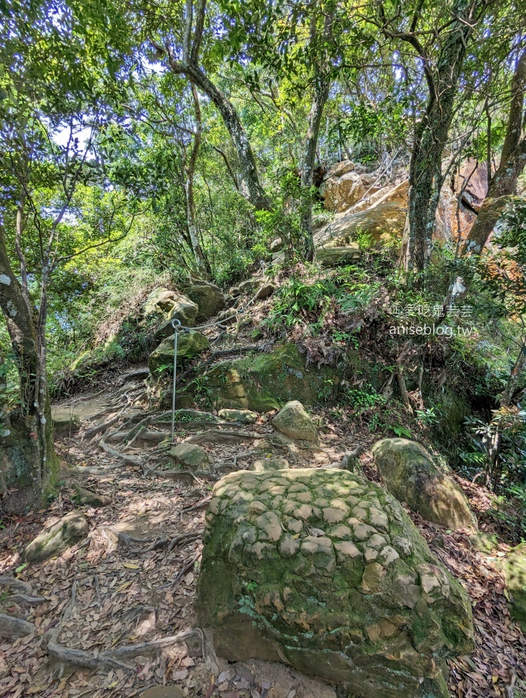 五寮尖登山步道，要手腳並用的拉繩攀岩路線，新北三峽景點(姊姊遊記)