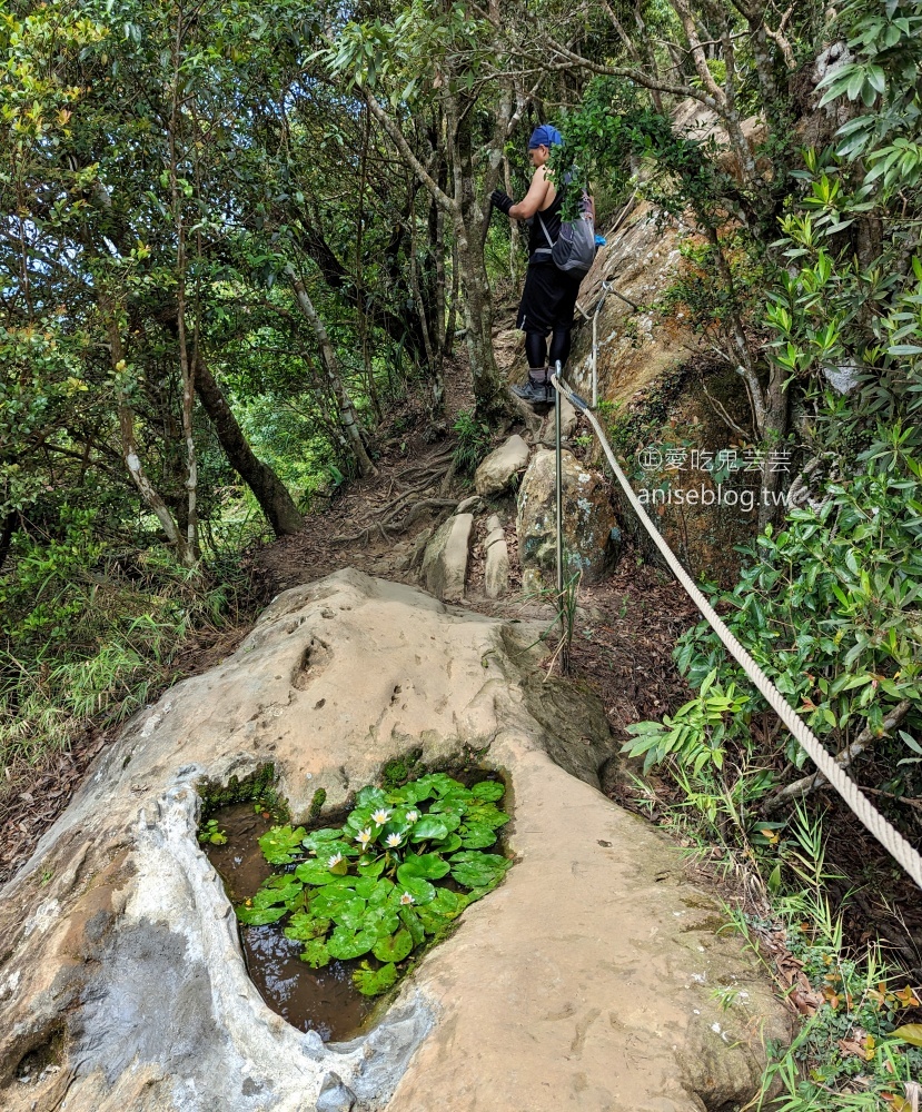 五寮尖登山步道，要手腳並用的拉繩攀岩路線，新北三峽景點(姊姊遊記)