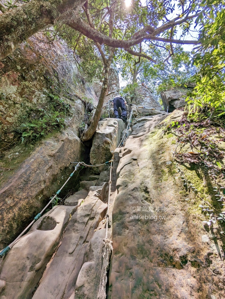 五寮尖登山步道，要手腳並用的拉繩攀岩路線，新北三峽景點(姊姊遊記)