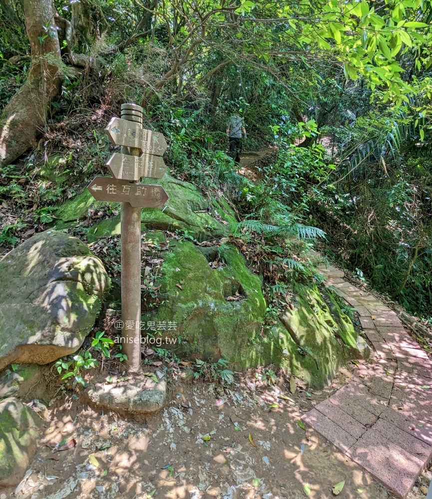 五寮尖登山步道，要手腳並用的拉繩攀岩路線，新北三峽景點(姊姊遊記)