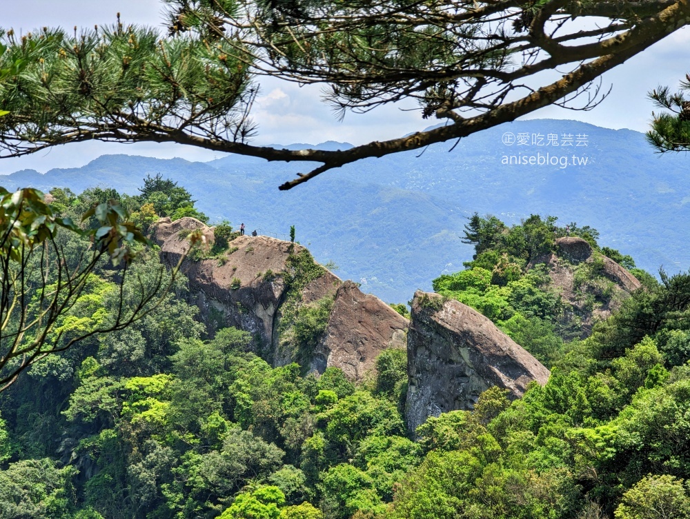 五寮尖登山步道，要手腳並用的拉繩攀岩路線，新北三峽景點(姊姊遊記)