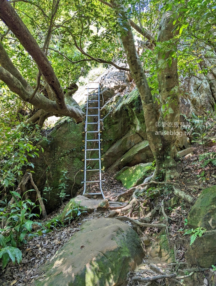 五寮尖登山步道，要手腳並用的拉繩攀岩路線，新北三峽景點(姊姊遊記)